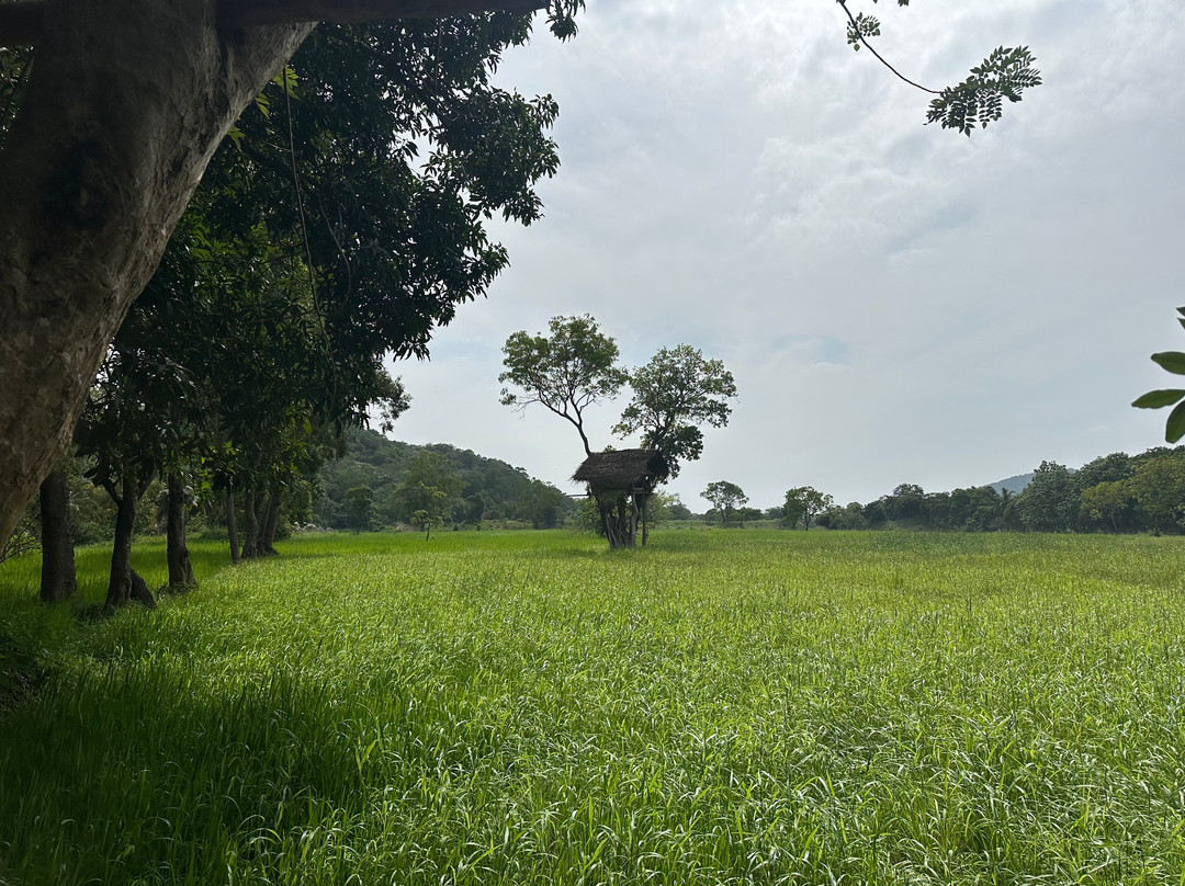 Ulpotha Yoga Retreat & Ayurveda Resort