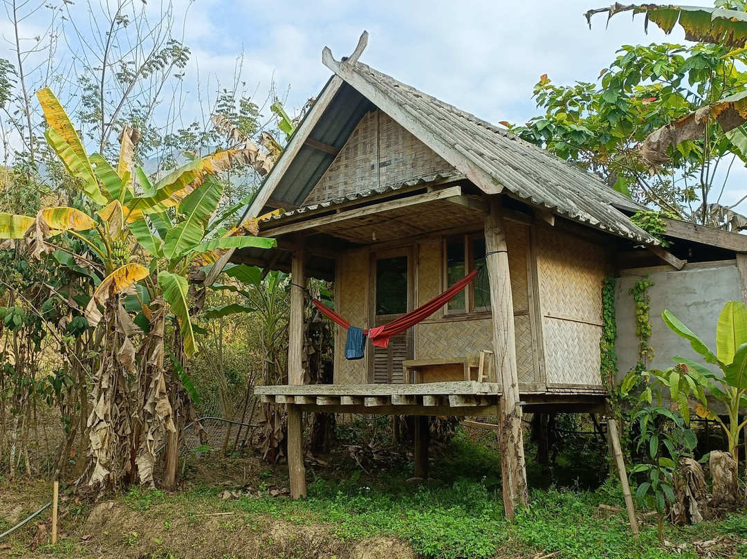 Yensabai Organic Farm-Muang Ngoi Neua必去景点