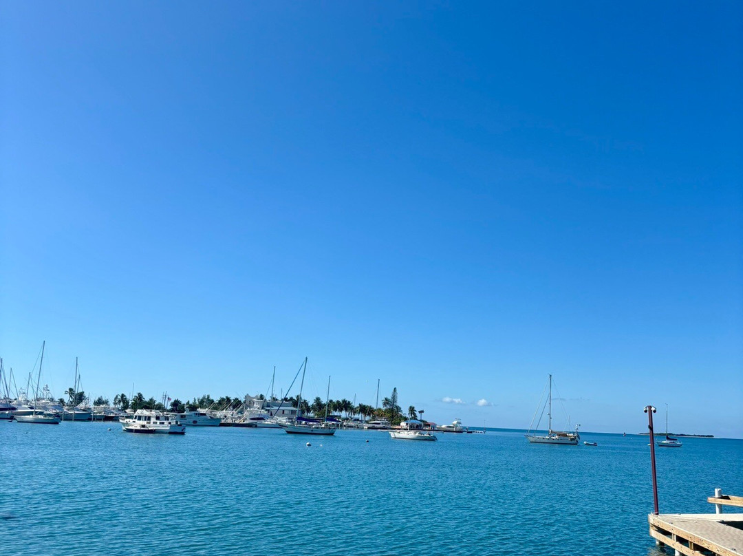 La Guancha-庞塞必去景点