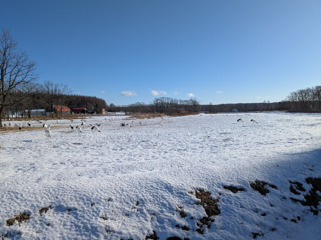 Tsurumidai-鹤居村必去景点