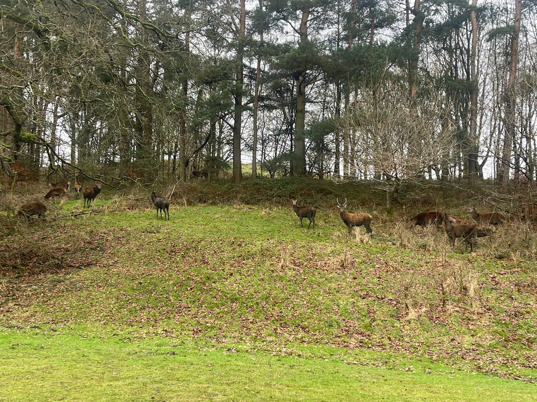 Shrigley Hall Golf Course-Pott Shrigley必去景点