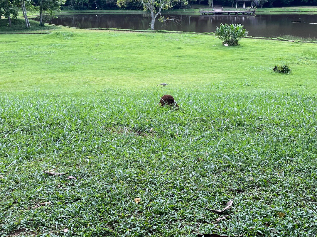 Jardim Botanico UFJF-Juiz de Fora必去景点