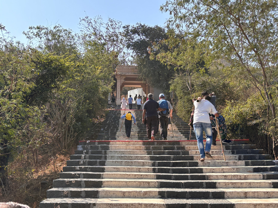 Shatrunjaya Hill Temple景点图片