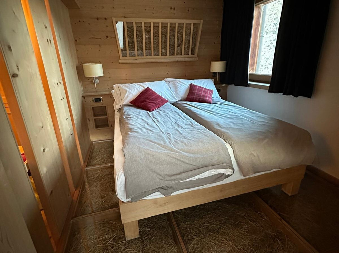 阿尔本小屋酒店主图