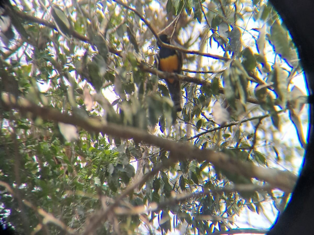 Calakmul Tours By Ezequiel-Xpujil Town必去景点