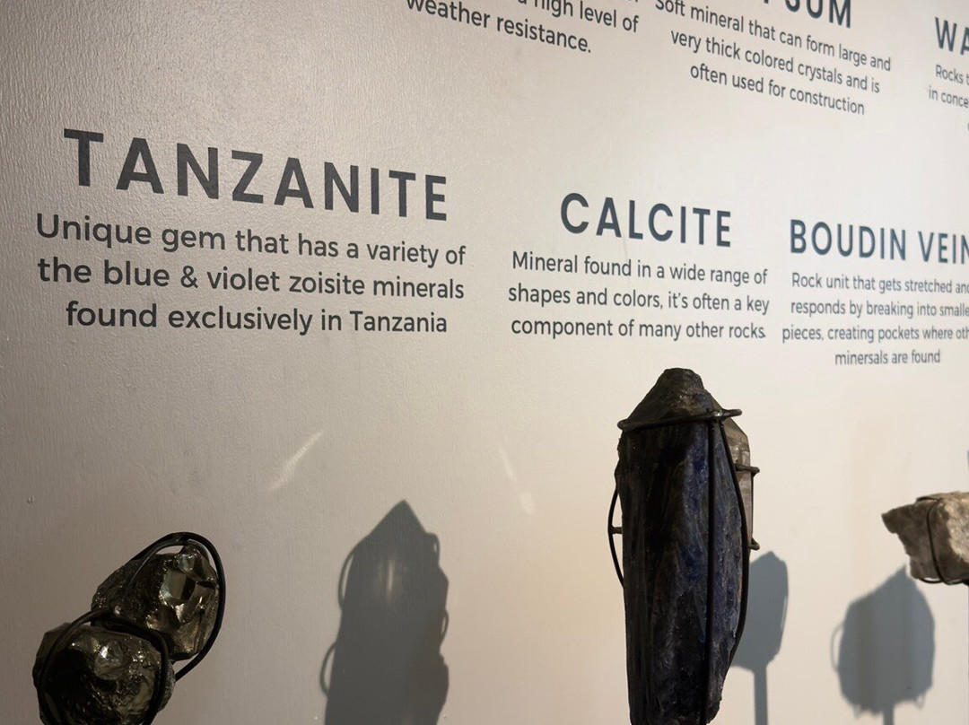 The Tanzanite Experience - Manyara Kibaoni景点图片