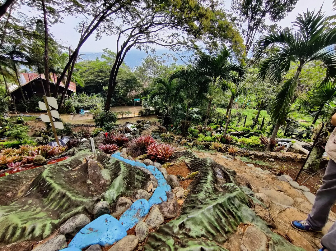 Mariposario Andoke-卡利必去景点