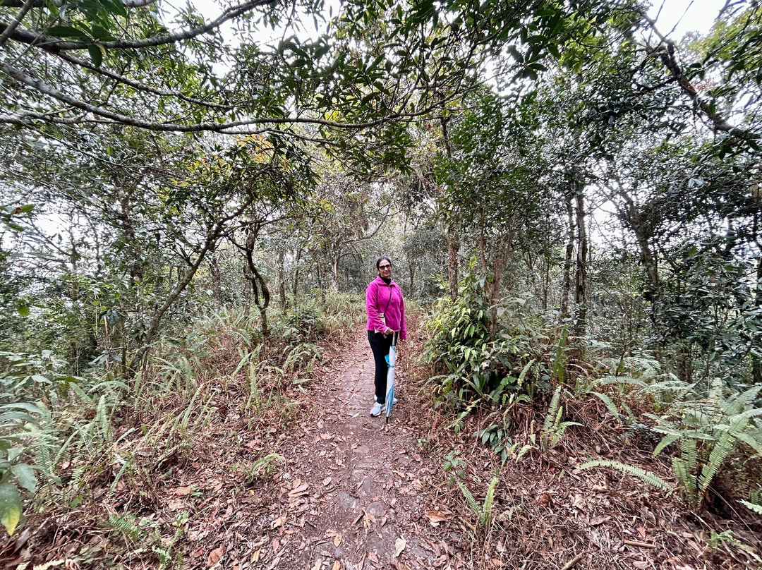 Simala Retreat, Baiguney主图