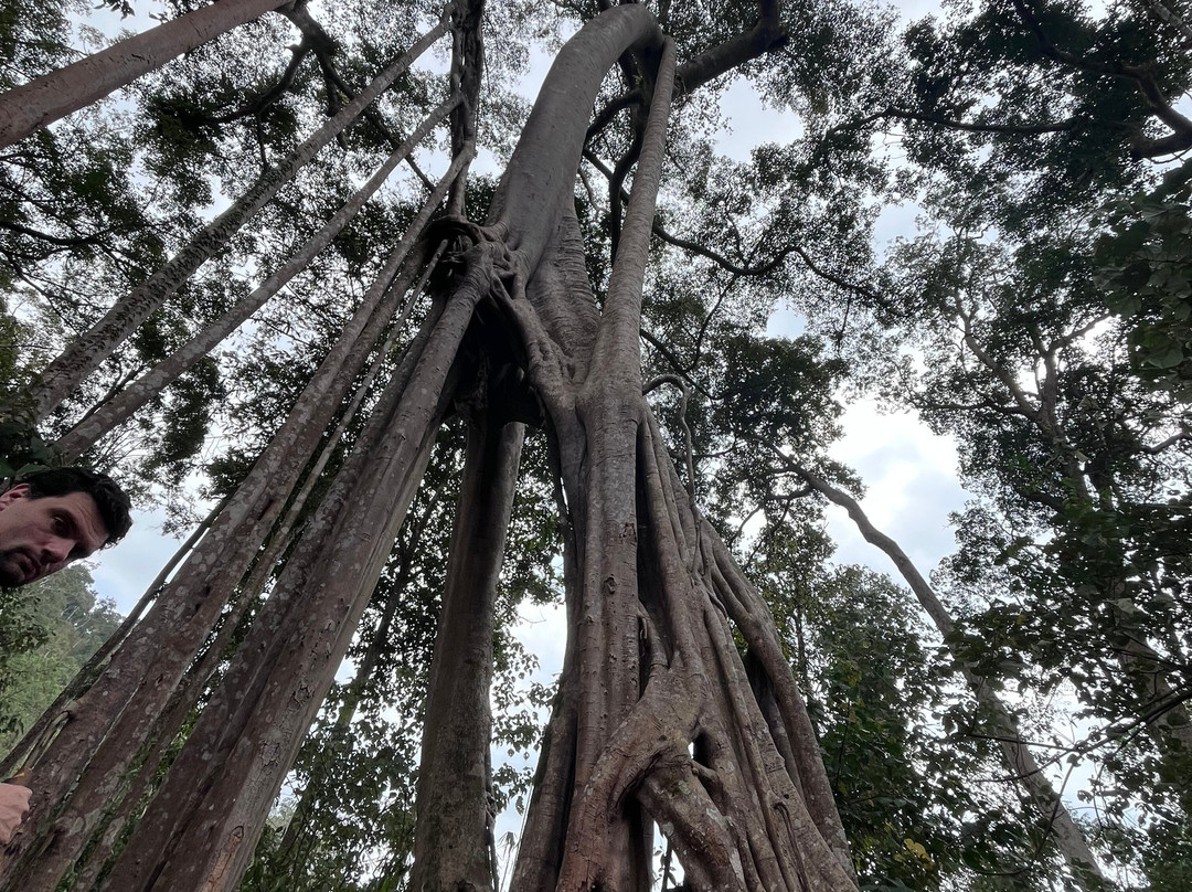 Phou Iu Travel & Ecotourism-琅南塔必去景点