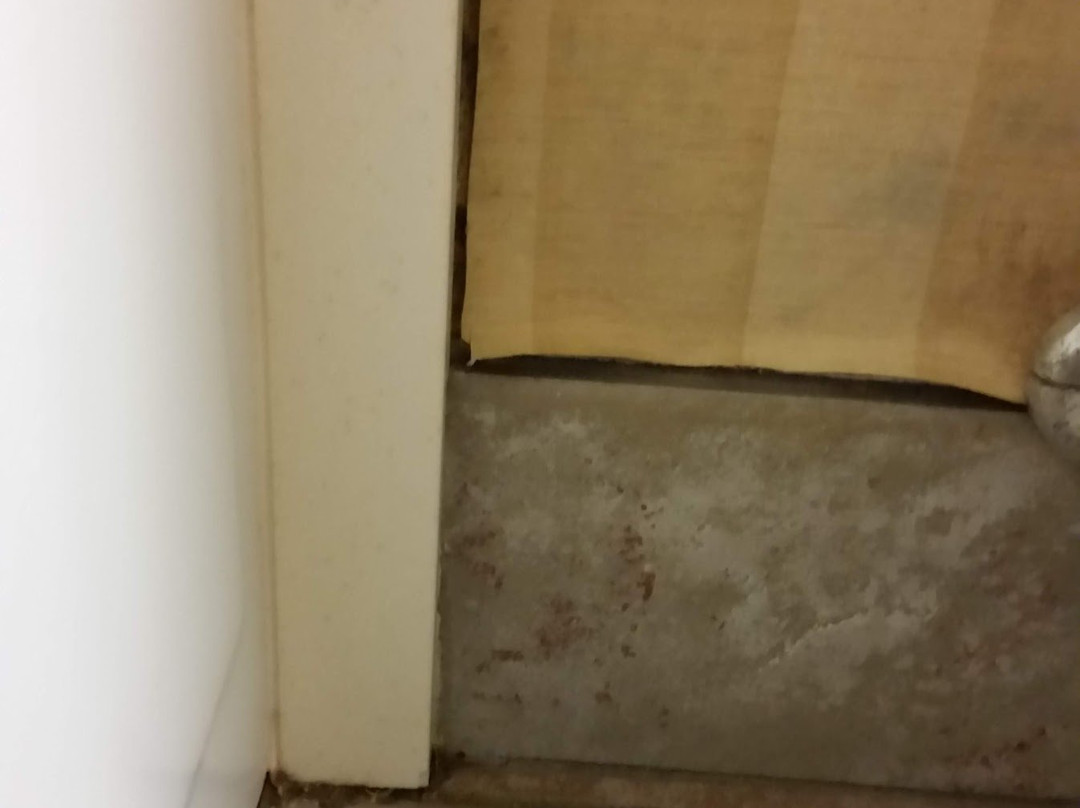 Hampton Inn Laurinburg主图