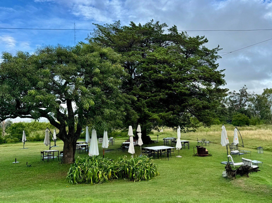 Comarca Las Liebres主图