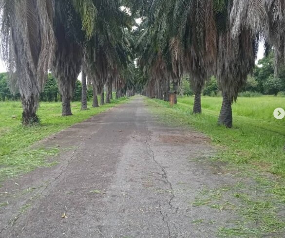 Fundacion Jardin Botanico Unellez景点图片