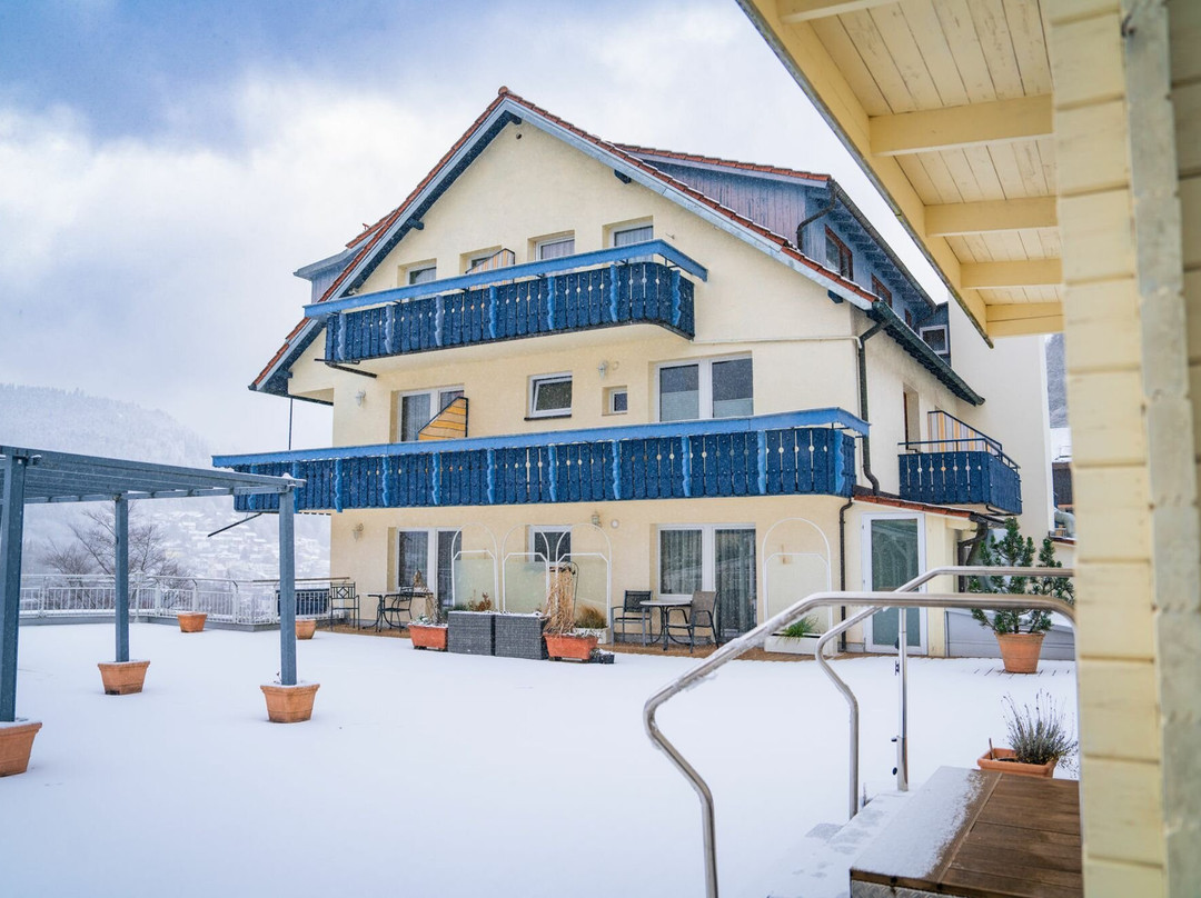 Wellnesshotel Rothfuss主图