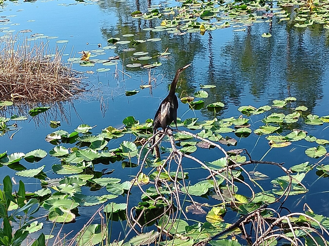 Charlotte Flatwoods Environmental Park-蓬塔戈尔达必去景点
