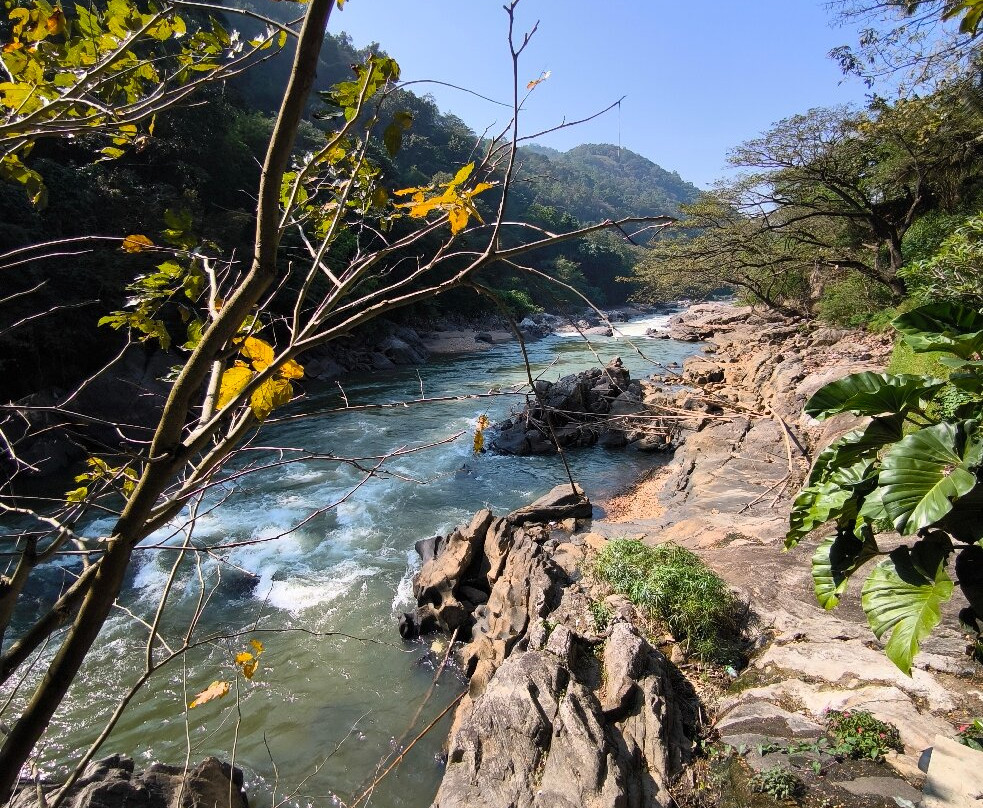 Travel With Dan景点图片