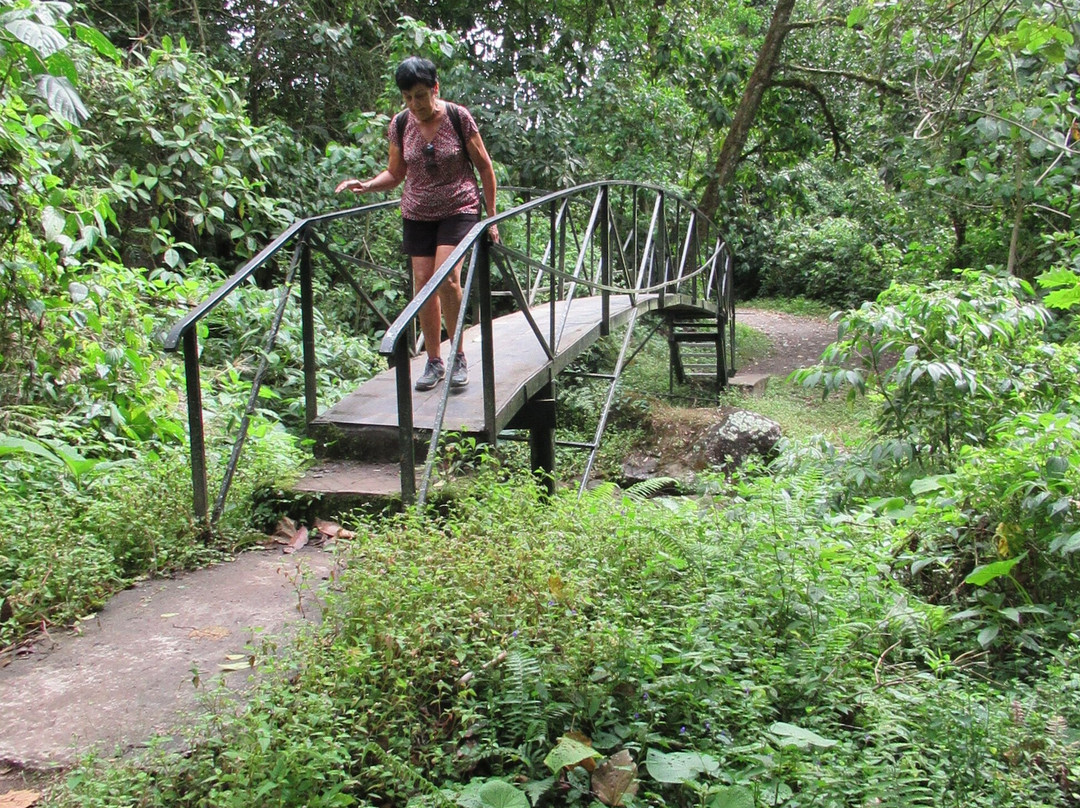 Pipeline Trail景点图片