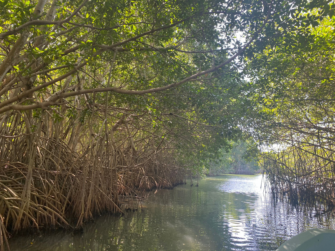 Vidasurf Ecotours-埃斯孔迪多港必去景点