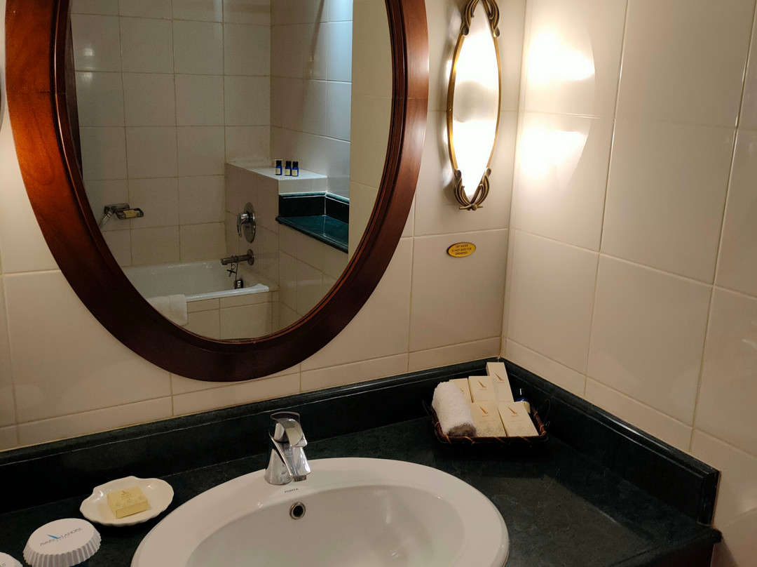 阿瓦里拉合尔酒店主图