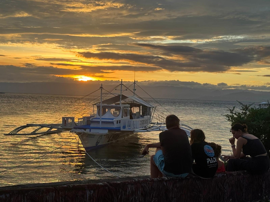 Polaris Beach and Dive Resort主图