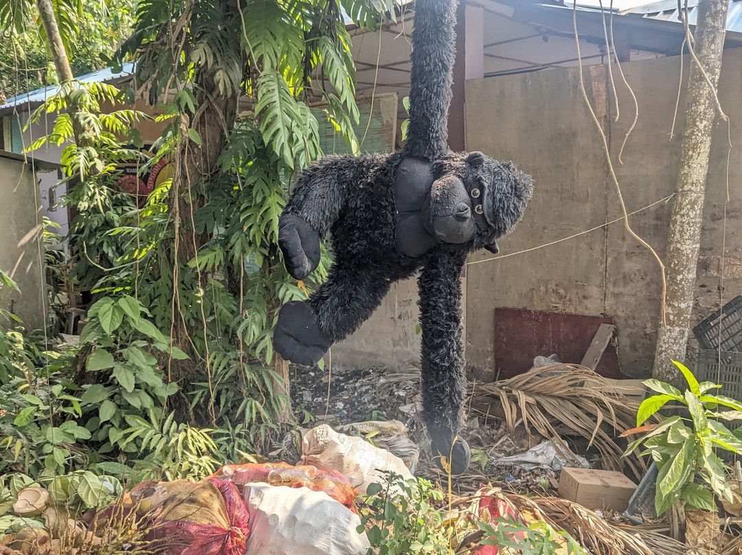 THINK N MAKER - Andaman Tour Packages-South Andaman Island必去景点