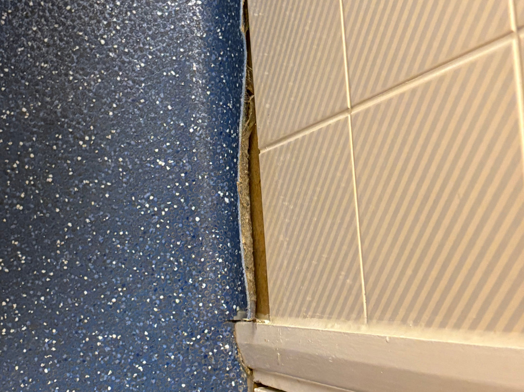 Travelodge Chester Northop Hall主图