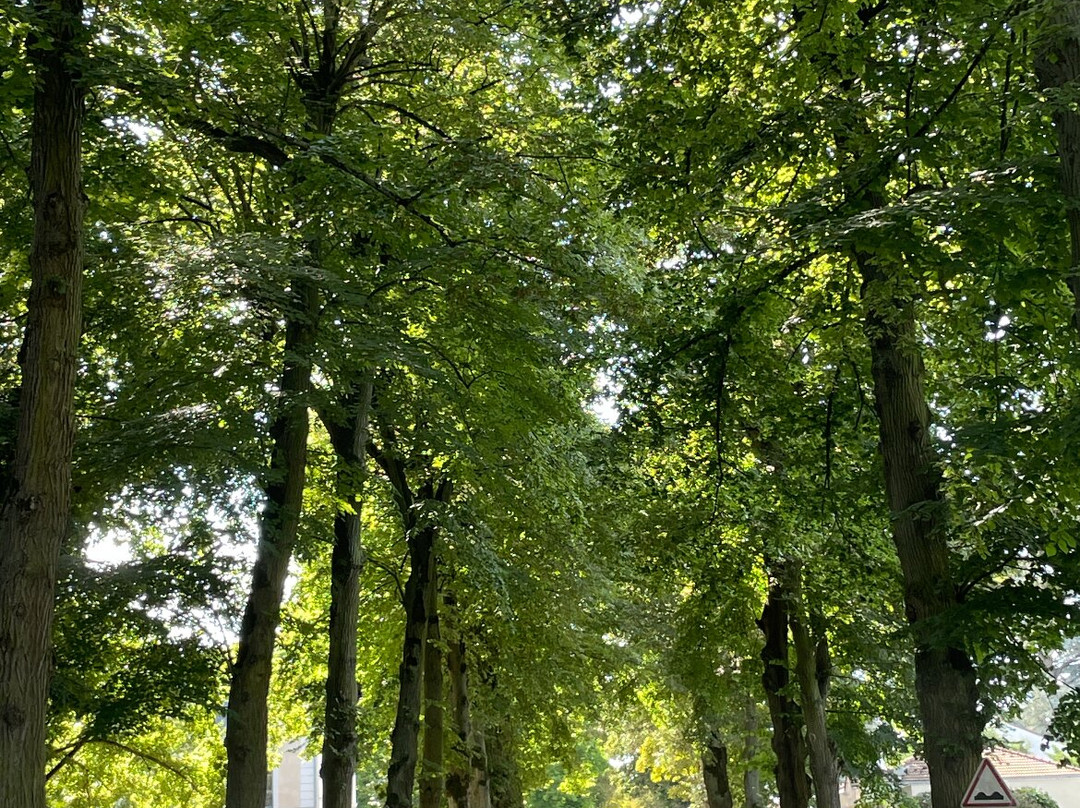 Spa Deep Nature - Demeures de Campagne Parc du Coudray景点图片