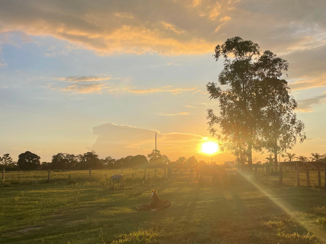 Buriti Viagens-Aquidauana必去景点