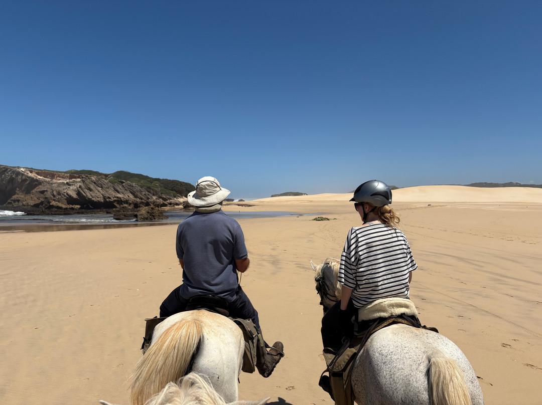 Beachcomber Horse Trails-Kenton-on-Sea必去景点