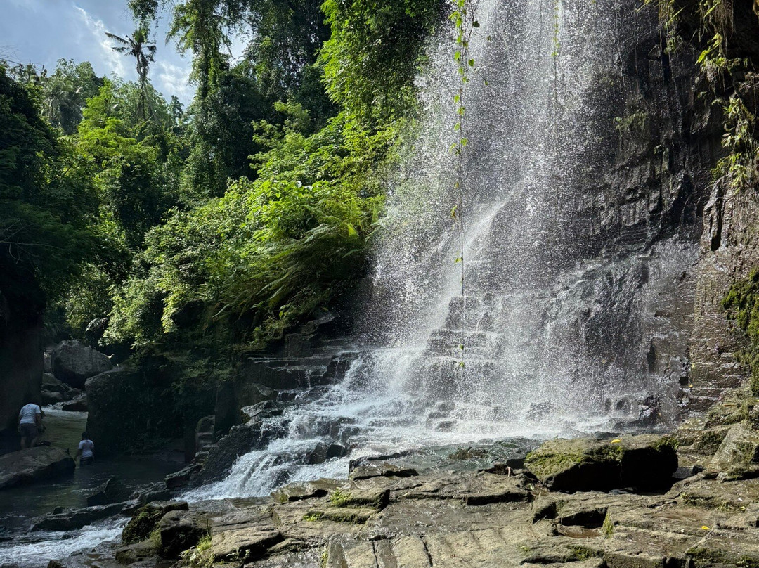 Temesi Waterfall-吉安雅必去景点