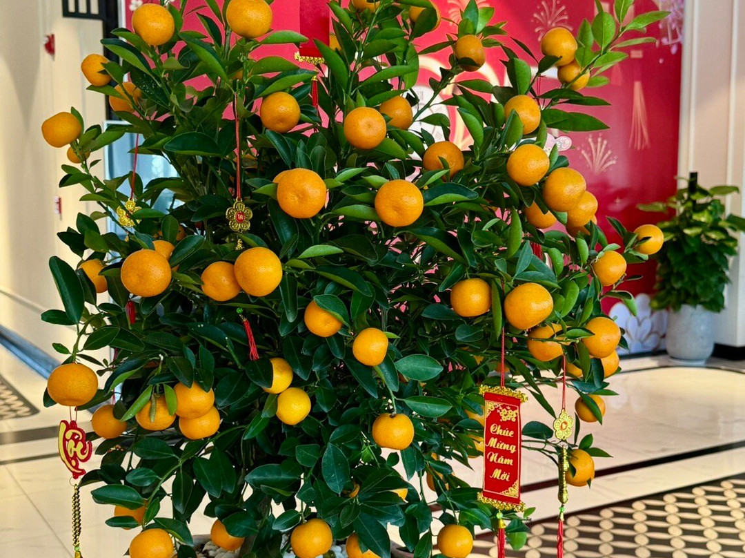 Newcc Hotel and Serviced Apartment