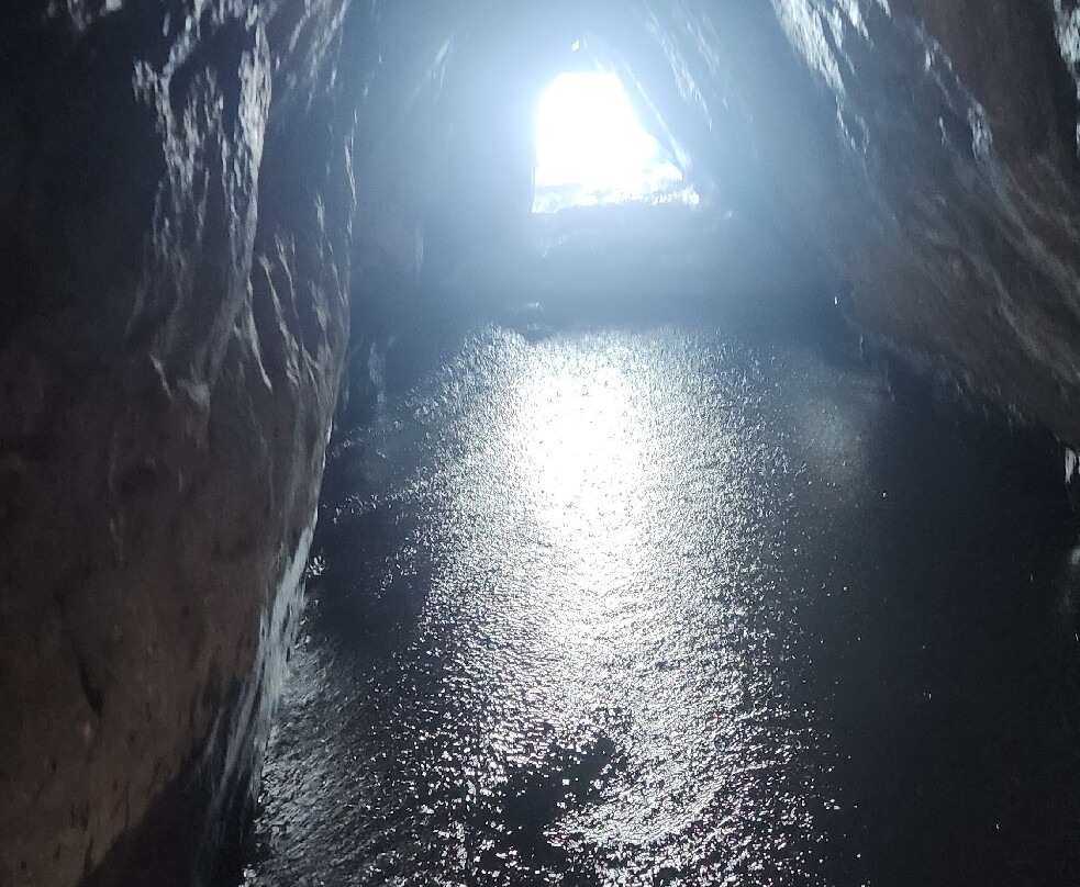 Deep Blue Diving Adventures-Playas del Coco必去景点