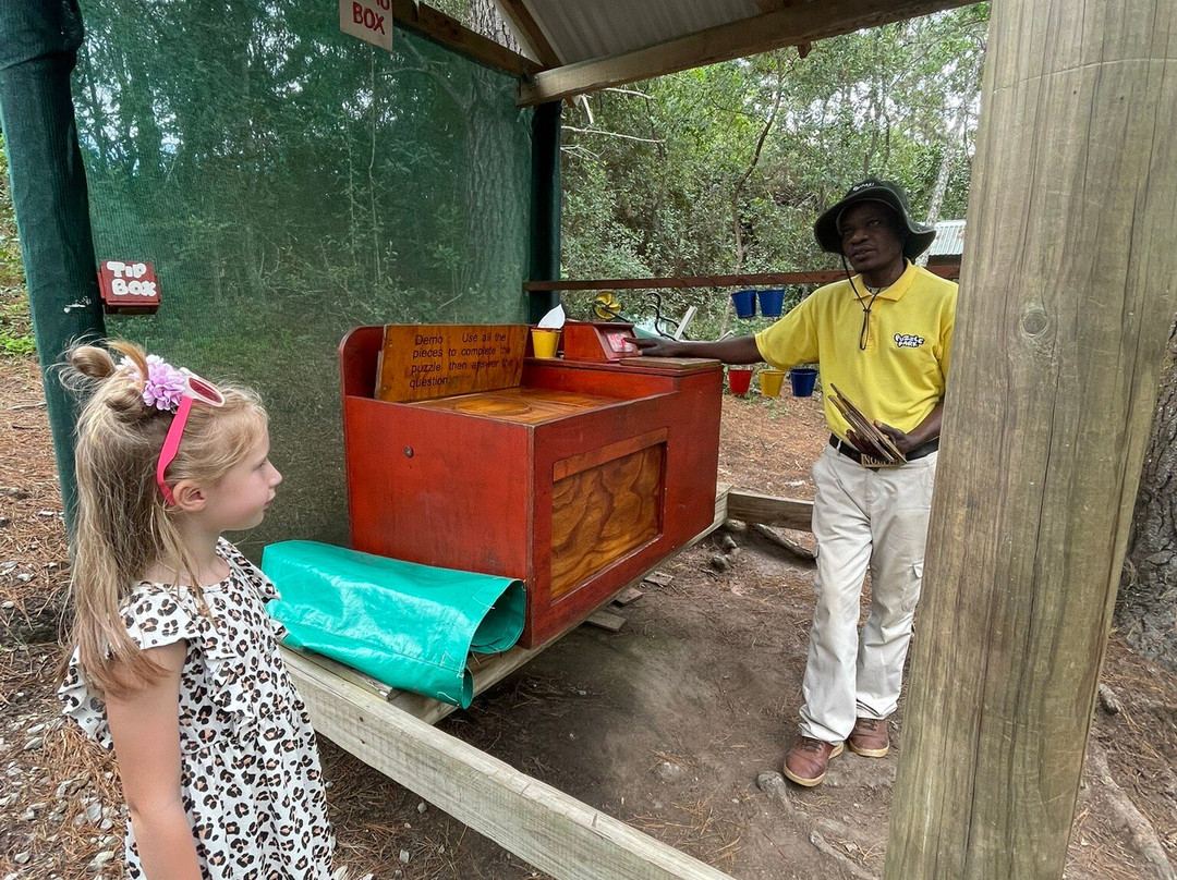 Puzzle Park SA-普利登堡湾必去景点