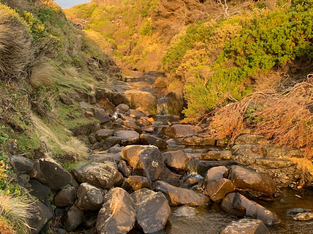 Tasmanian Wilderness Experiences景点图片