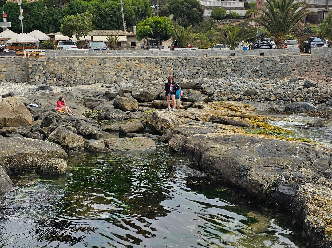 Zapallar Beach-萨帕亚尔必去景点
