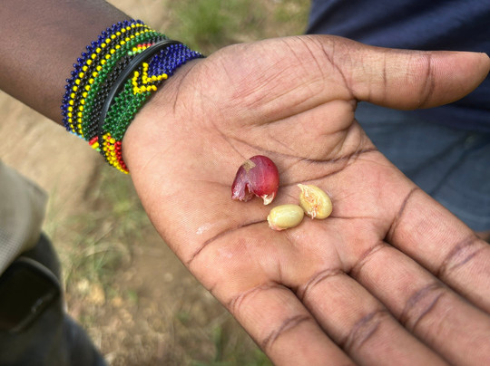 Kiliman Cultural Tourism-莫西必去景点