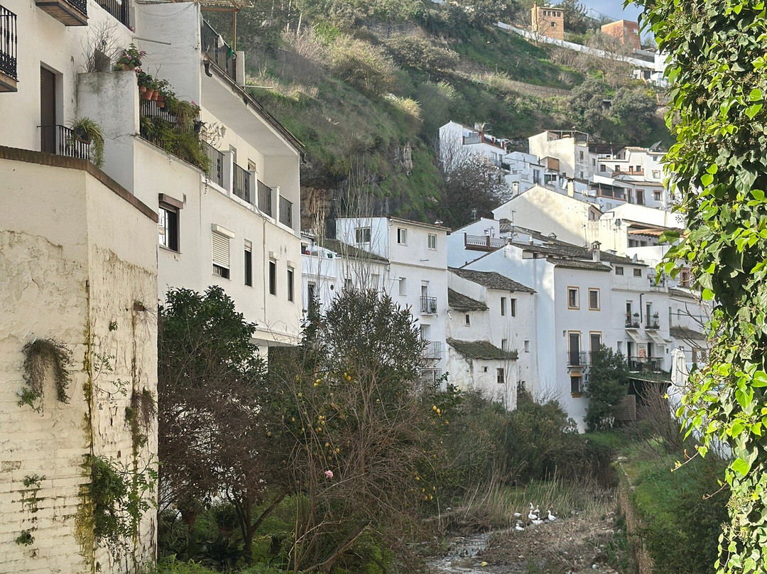 Calle Cuevas De La Sombra景点图片