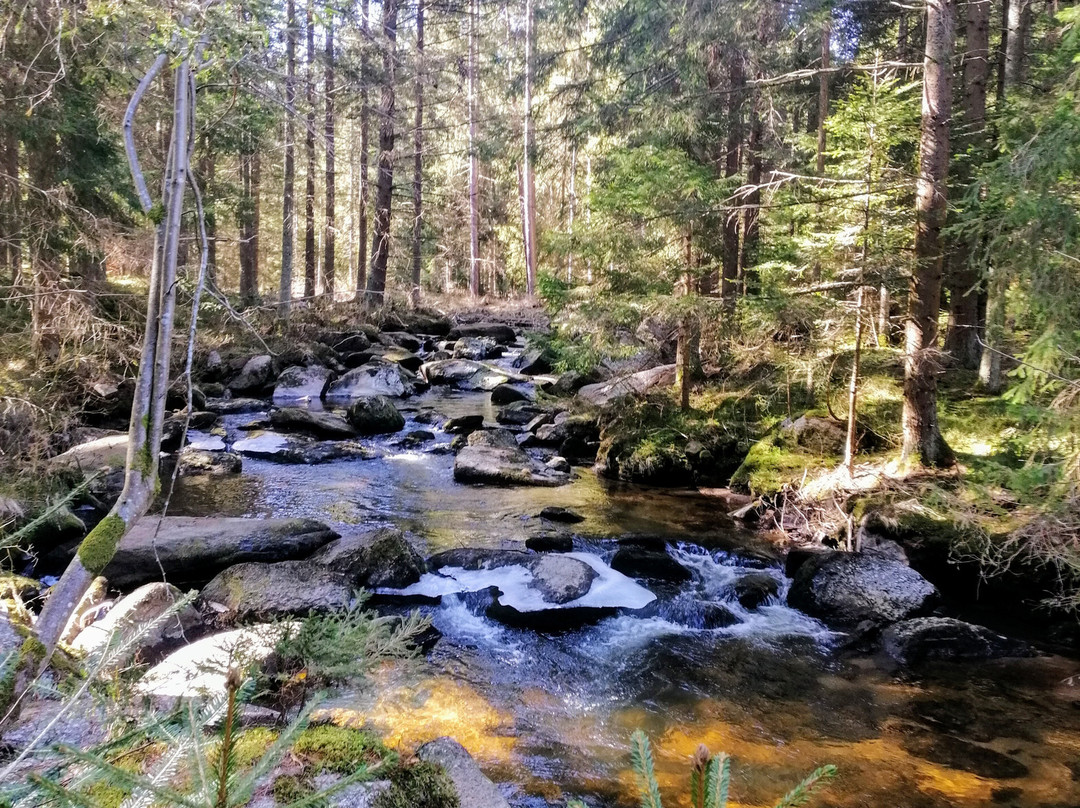 Gesundheitshotel Klosterberg主图
