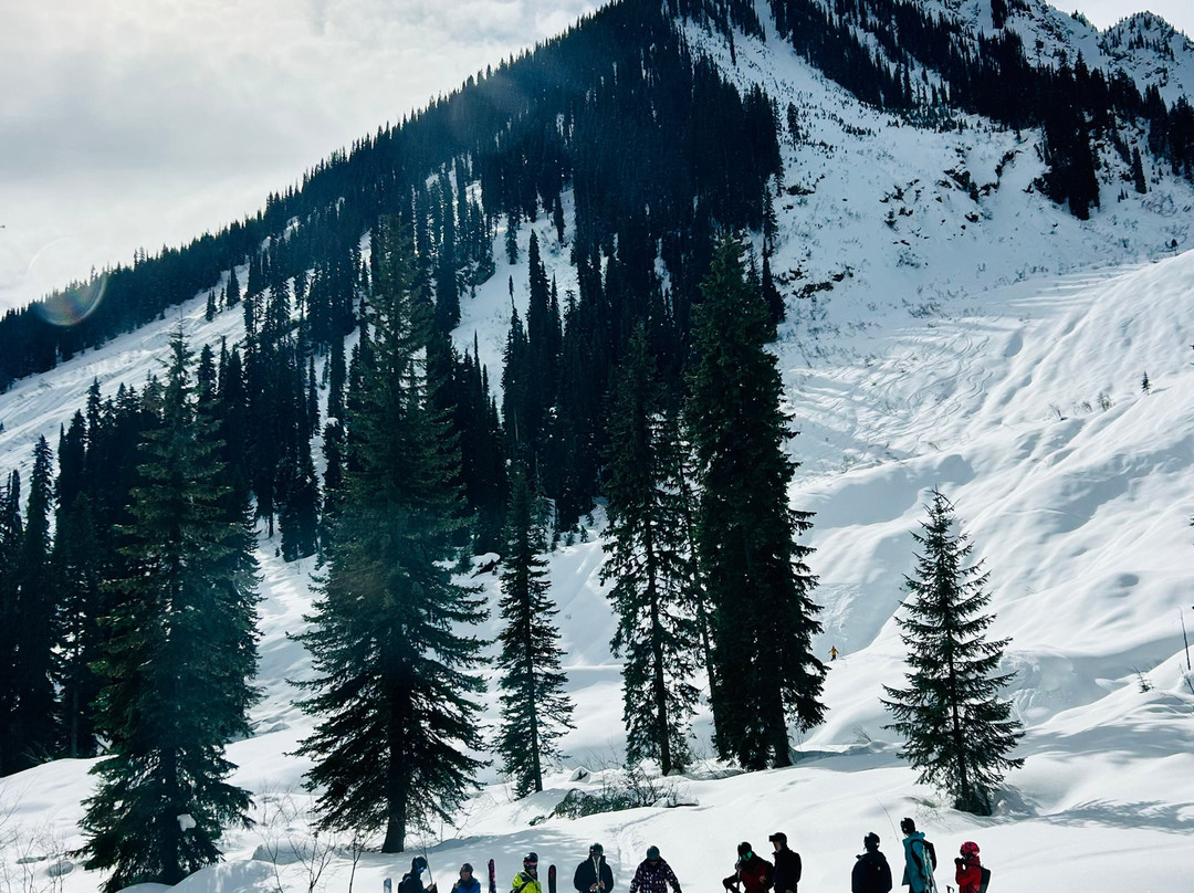 White Grizzly Cat Skiing-Meadow Creek必去景点