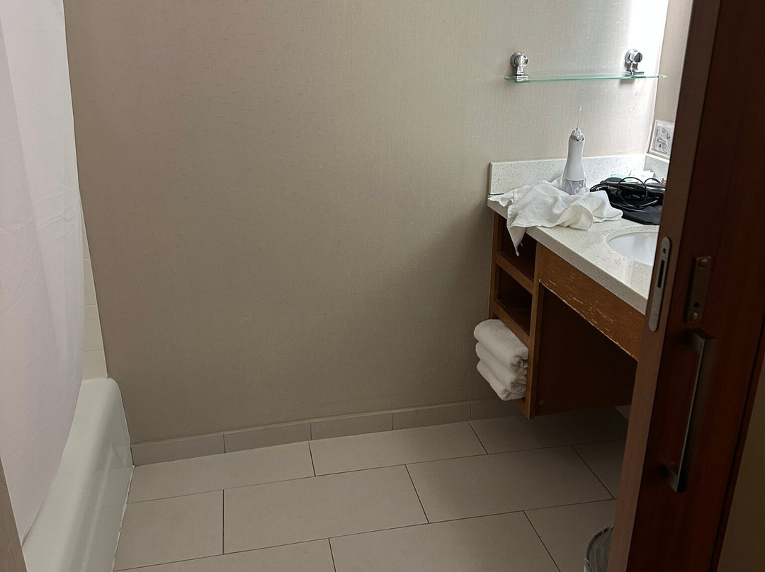 SpringHill Suites by Marriott Macon主图