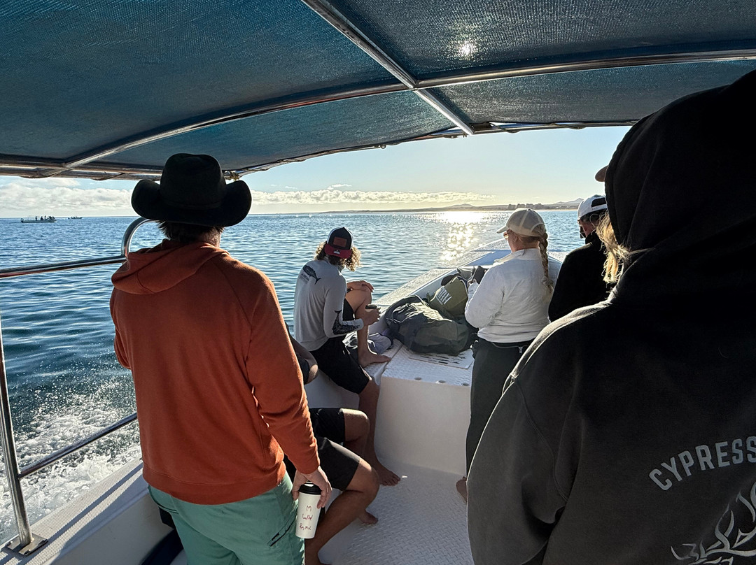 La ventana dive center-La Ventana必去景点