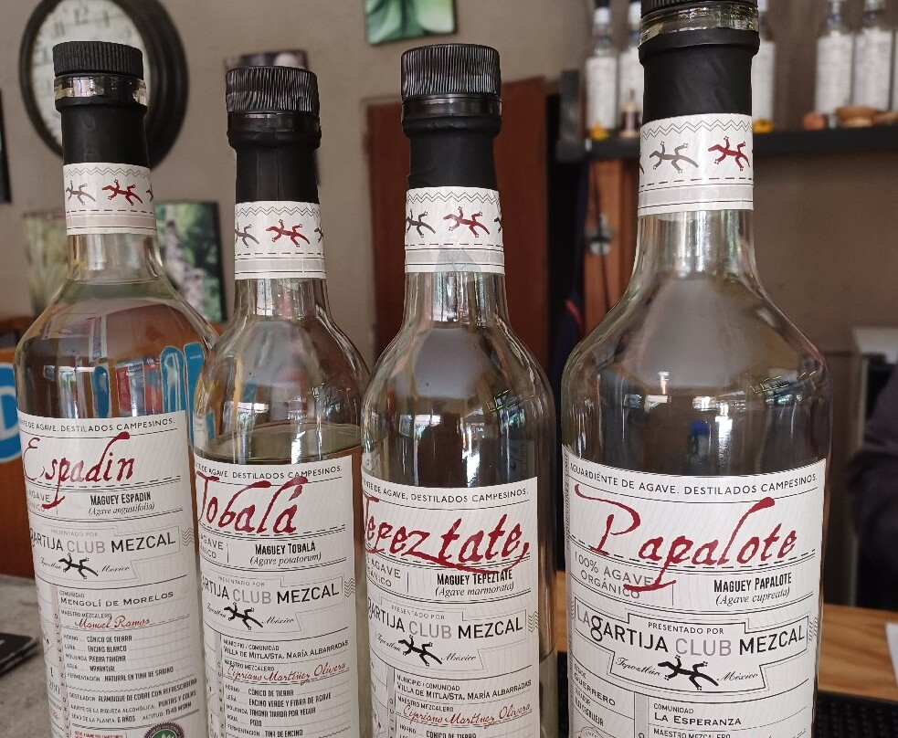 Lagartija Club Mezcal景点图片