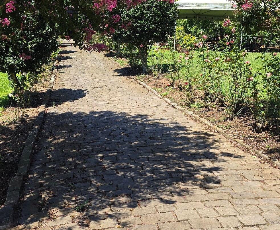 Cantina Strapazzon-本图贡萨尔维斯必去景点