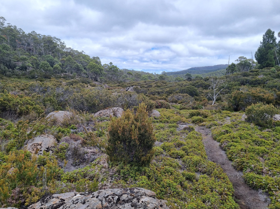 eGuide-谢菲尔德必去景点