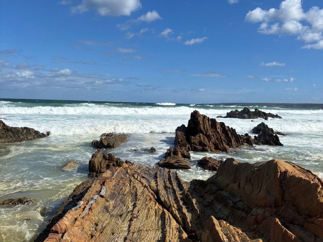 The Wave Oasis主图