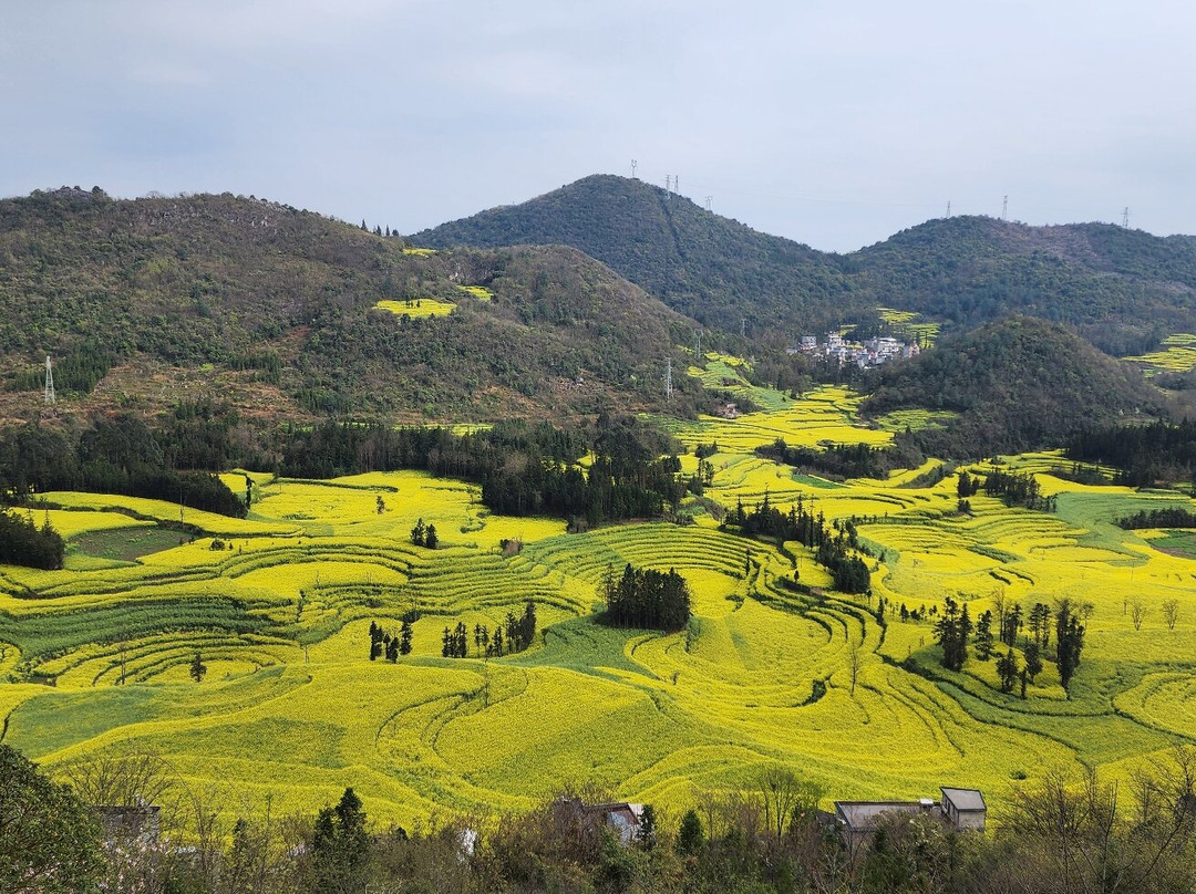 罗平螺丝田-罗平县必去景点