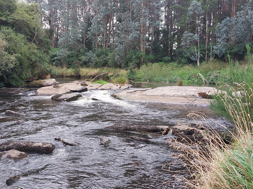 Niagara Falls-Niagara必去景点