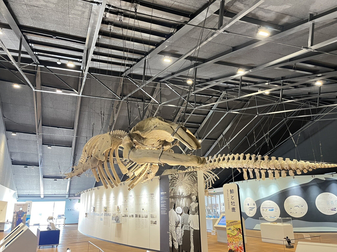 Whale Town Oshika-石卷市必去景点