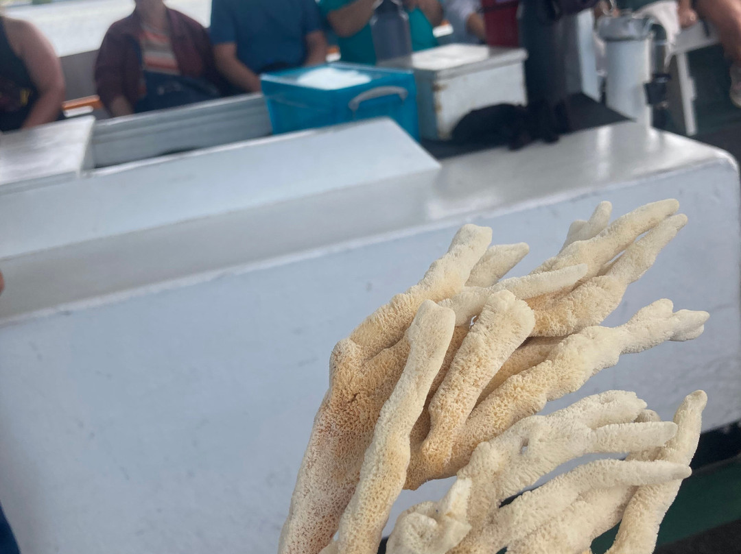 St. Nicholas Boat Line-塔彭斯普林斯必去景点