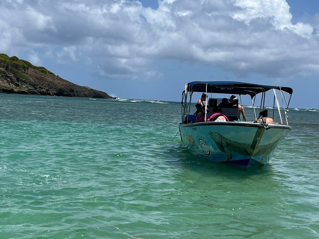 Captain Roro-Le Francois必去景点