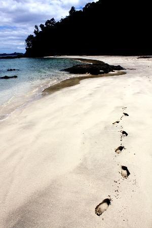 Helmridge Lodge主图